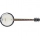 Banjo, Stagg BJM30 G