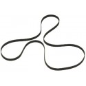 Curea transmisie Stage Line P-121DJP