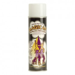 Magican hazecan Showtec fum in spray