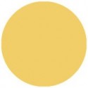 Folie colorata Showtec 152 Pale Gold