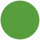 Folie colorata Showtec Fern Green 122 x 55 cm