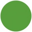 Folie colorata Showtec Fern Green 122 x 55 cm