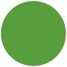 Folie colorata Showtec Fern Green 122 x 55 cm