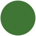 Folie colorata Showtec Dark Green 122 x 55 cm