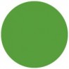 Folie colorata Showtec Green 122 x 55 cm