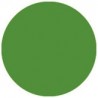 Folie colorata Showtec inalta temperatura 139 Primary green