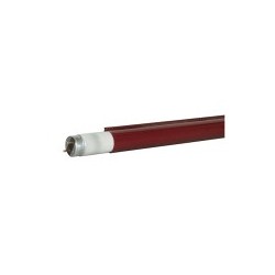 Tub fluorescent Showtec C-Tube T8 1200 mm 026 - Bright Red - Strong red, good for costume
