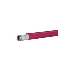Tub fluorescent Showtec C-Tube T8 1200 mm 111C - Dark Pink - Colour fast filter
