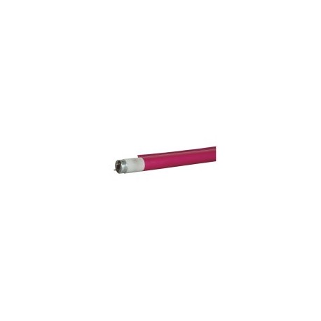 Tub fluorescent Showtec C-Tube T8 1200 mm 111C - Dark Pink - Colour fast filter