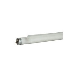 Tub Fluorescent Showtec C-Tube UV-roll T8 1200 mm