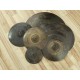 Cinel de 22" Dimavery DBHR-822