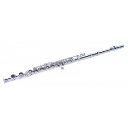 Flaut C argintiu, Dimavery QP-10 SL