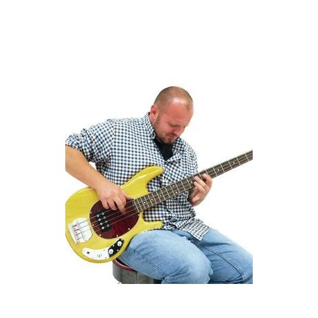 Chitara bas electrica, culoare natur, Dimavery MM-501N