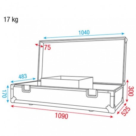 Case pentru Visionstick DAP Audio