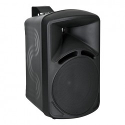 Set 2 boxe DAP Audio PM-42B