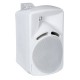 Set 2 boxe 100V DAP Audio PMT-82W