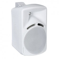 Set 2 boxe 100V DAP Audio PMT-82W