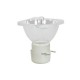 Bec OSD pentru reflector, Omnilux OSD 5 Reflector 200W discharge lamp (89101925)