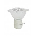 Bec OSD pentru reflector, Omnilux OSD 5 Reflector 200W discharge lamp (89101925)
