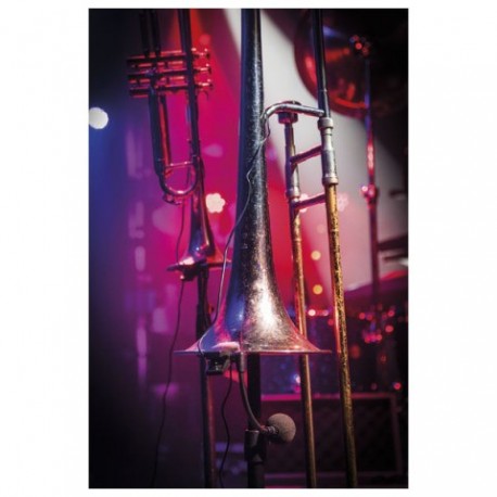 Microfon instrument DAP Audio ECLM-70