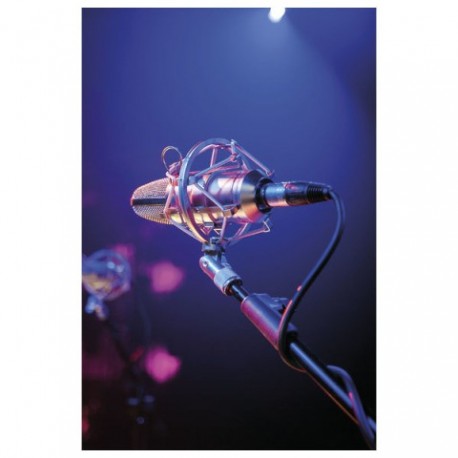 Microfon USB Studio condensator DAP Audion URM-1