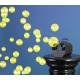 Lichid de baloane activ UV galben 1L, Eurolite 51705210