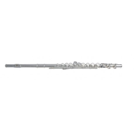 Flaut, Gewa ARMSTRONG FLAUT FL650E