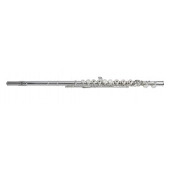 Flaut, Gewa ARMSTRONG FLAUT FL650RI .