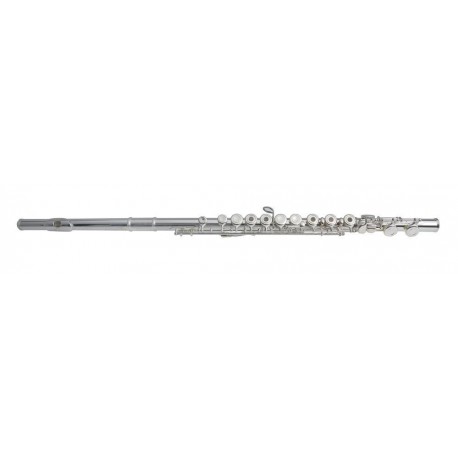 Flaut, Gewa ARMSTRONG FLAUT FL650RI .
