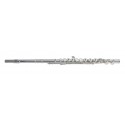 Flaut, Gewa ARMSTRONG FLAUT FL650RI .