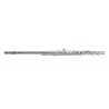 Flaut, Gewa ARMSTRONG FLAUT FL650RI .