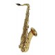 Saxofon Bb-Tenor, Gewa CONN TS650