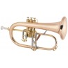Flugelhorn Bb, Gewa C.G. CONN 1FR VINTAGE ONE