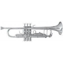 Trompeta Bb, Gewa BACH TR501S