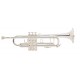 Trompeta Bb, Stradivarius VINCENT BACH 180SLG