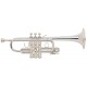 Trompeta D, Stradivarius VINCENT BACH D180L