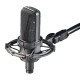 Microfon cardioid condenser, Audio-Technica AT4033ASM