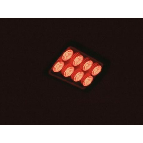 Proiector LED de exterior, 30°, rosu, Eurolite LED IP FL-8 red 30°