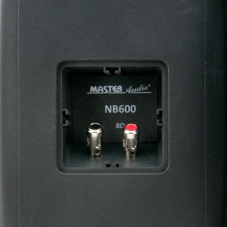 Set difuzoare Master Audio NB600B negru Outdoor