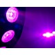 Efect lumini LED, EUROLITE LED SCY-5 Hybrid Beam Effect