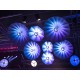 Proiector cu lampa halogen si iluminare LED ambientala Eurolite ML-600 ABL