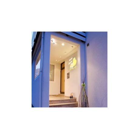 Cap + lampa 50W pentru proiector GoboTop Derksen GoboTop Projector Head