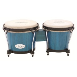 Bongo Bahama Blue, TOCA 2100BB