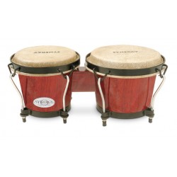 Bongo Rio Red, TOCA 2100RR