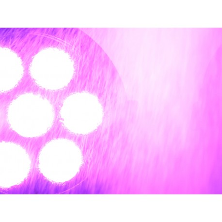 Proiector LED de exterior (IP65), Eurolite LED IP PAR 7x8W QCL spot