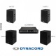 Sistem audio Dynacord C15.2 x 2