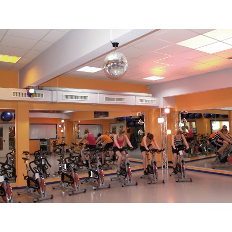 Motor pentru glob 40cm MD1515