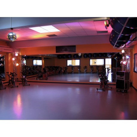 Motor pentru glob 40cm MD1515