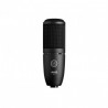  Microfon studio AKG P-120