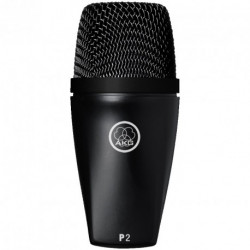Microfon instrument AKG P2